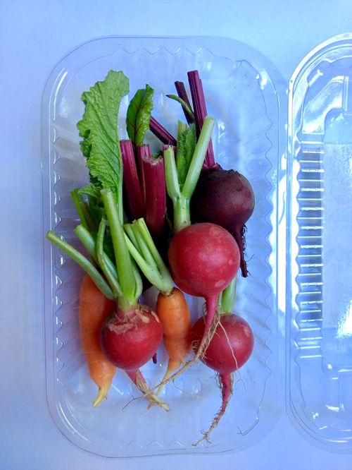 MINI LEGUMES ORG DEI FALCI BJ