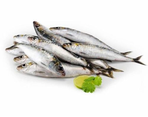 Peixe Sardinha Clas A 1Kg