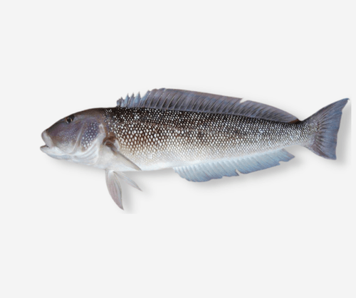 Peixe Namora Classe A 1Kg