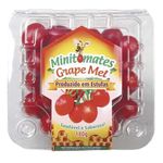 TOMATE-ITAL-COLOR-TREBESCHI-600G-BJ