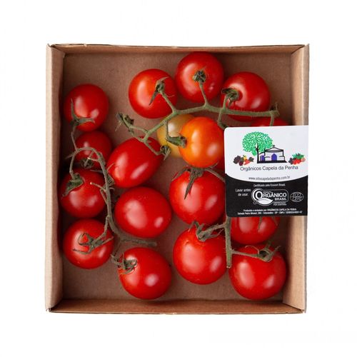 VAGEM MANTEIGA ORG CAPELA 300G-BJ