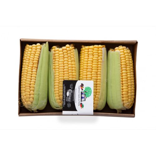 MILHO VERDE ORG CAPELA 500G-BJ