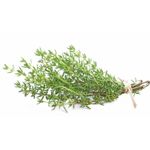 Ervas-Org-Frs-Jardim-Ervas-R145-Tomilho