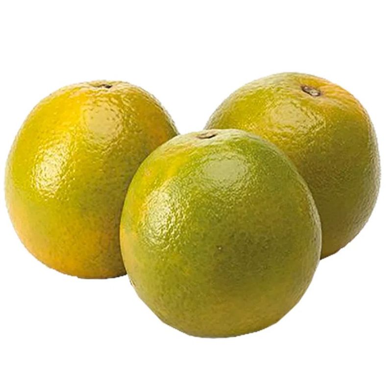 Laranja-Pera-Organico-Do-Chico-Kg