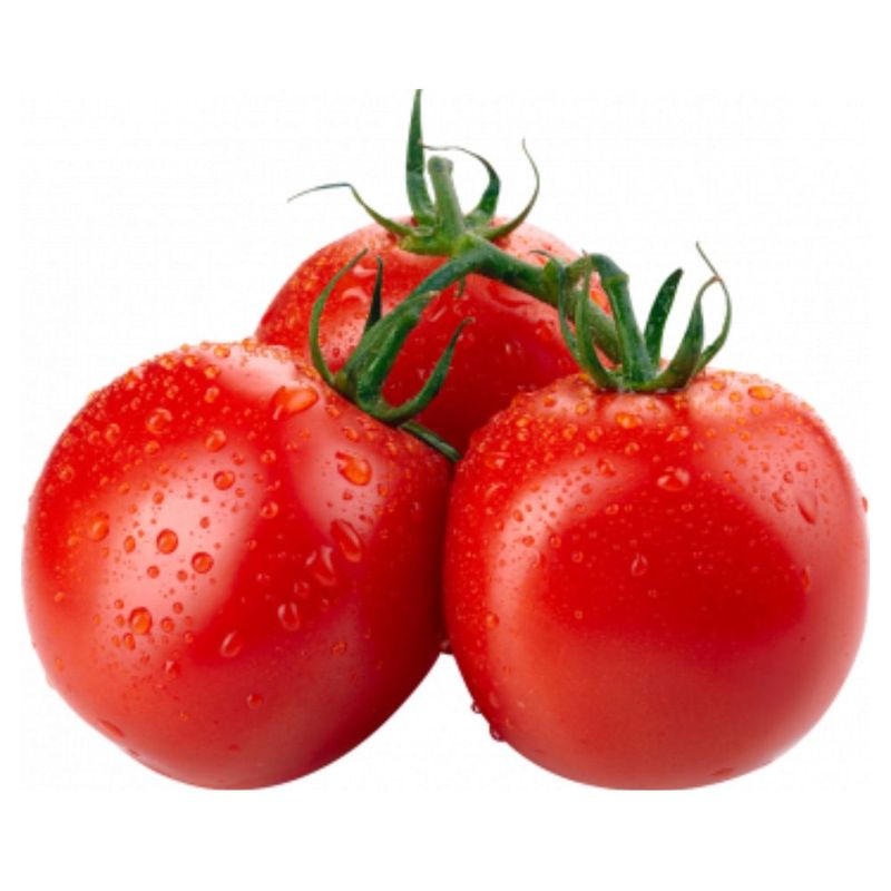 Tomate-Organico-Do-Chico-Kg