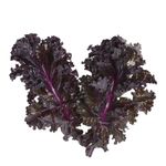 COUVE-KALE-ROXA-ORG-CAPELA-PC