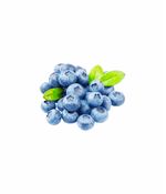 MIRTILO-ORG-CAPELA-100G-BJ