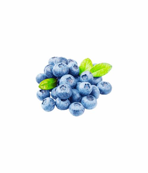 MIRTILO ORG CAPELA 100G-BJ