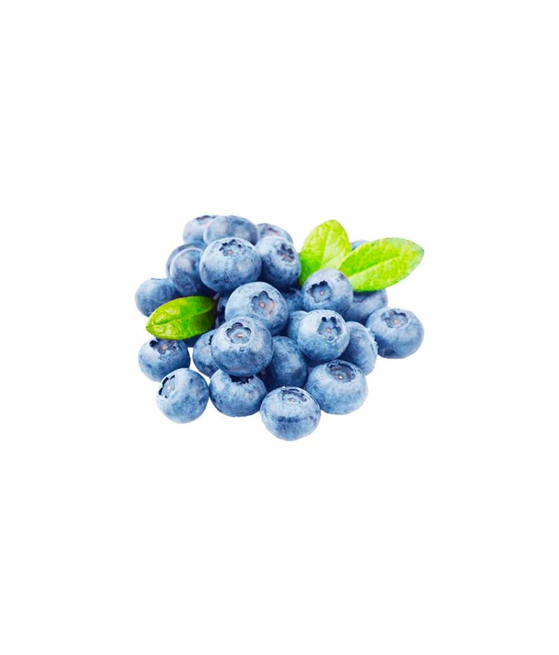 MIRTILO-ORG-CAPELA-100G-BJ
