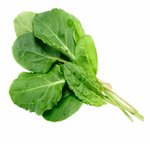 Azedinha-Organico-do-Chico-Unidade