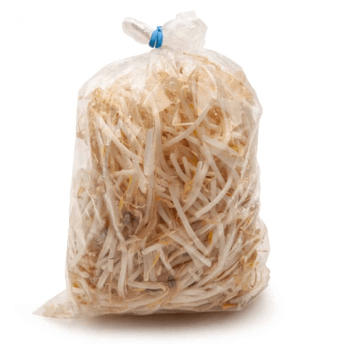 BROTO FEIJAO MOYASHI 500G-PC