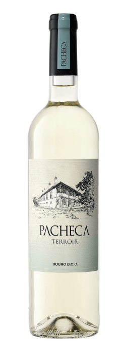 VIN-PACHECA-750ML-BCO