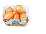 TOMATE-ITAL-COLOR-TREBESCHI-600G-BJ