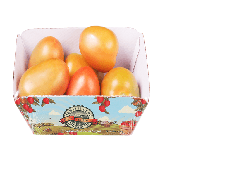 TOMATE-ITAL-COLOR-TREBESCHI-600G-BJ