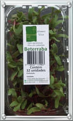 Broto-Comest-Microverde-250g-Bj-Beterraba