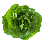 Mini-Alface-Microverde-Un