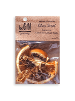 Preparo-de-Bebidas-Drinks-Begin-Citrus-Sunset-40g