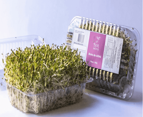BROT ALFAFA B-BROTO 100G