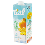 Nectar-Misto-de-Tangerina-e-Gengibre-Tial-Caixa-1l