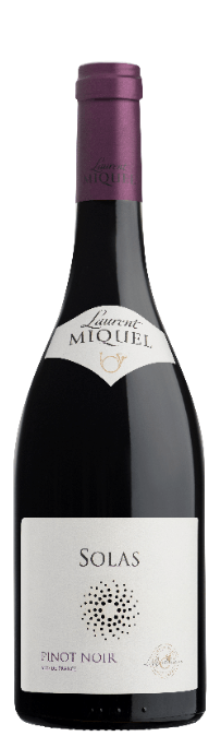 Vinho-Laurent-Miquel-Solas-Pinot-Noir-750ml-