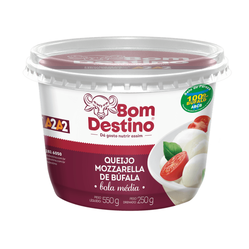 Queijo-Mussarela-de-Bufala-Bola-Media-Bom-Destino-250g