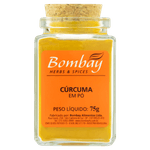 Condimento-Bombay-Curcuma-em-Po-75g