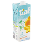 Nectar-Misto-de-Tangerina-e-Gengibre-Tial-Caixa-1l