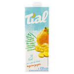 Nectar-Misto-de-Tangerina-e-Gengibre-Tial-Caixa-1l