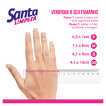 Luva-para-Louca-Rosa-Santa-Limpeza-G