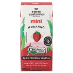 Bebida-a-Base-de-Castanha-de-Caju-3g-de-Proteina-Vegetal-Organica-Polpa-de-Morango-A-Tal-da-Castanha-Mini-Caixa-200ml