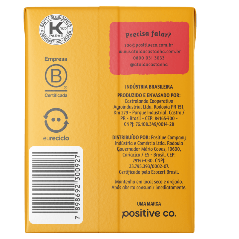 Bebida-a-Base-de-Castanha-de-Caju-3g-de-Proteina-Vegetal-Organica-Suco-de-Maca-e-Pure-de-Banana-A-Tal-da-Castanha-Mini-Caixa-200ml