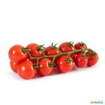 TOMATE-MARBELE-350G-CACHO