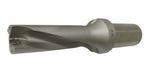 CN-BAUD-BOLINHO-ROLL-34G