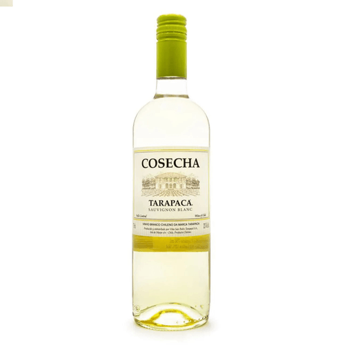 Vinho Chileno Branco Seco Tarapacá Cosecha Sauvignon Blanc Valle Central Garrafa 750ml