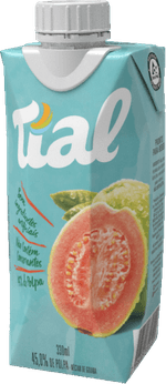 Nectar-Goiaba-Tial-Caixa-330ml