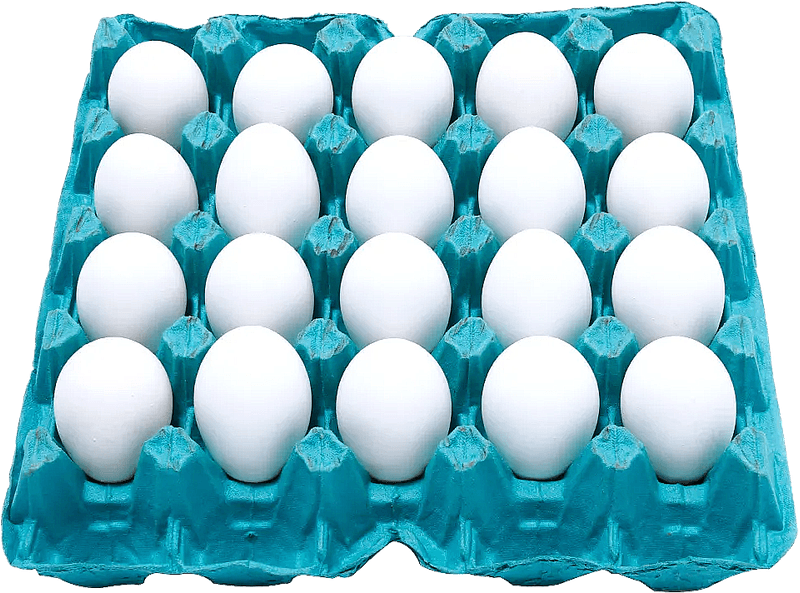 Ovos-de-Galinha-Asa-Branco-20-Unidades