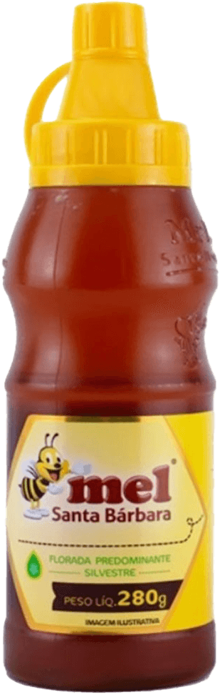 Mel Santa Bárbara Bisnaga Silvestre 280g