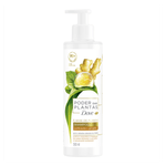 Shampoo-a-Base-de-Plantas-Dove-Poder-das-Plantas-Purificacao---Gengibre-Frasco-300ml-Pump
