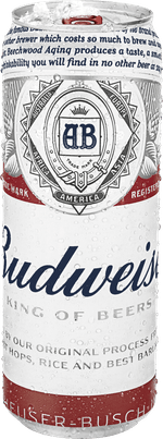 Cerveja-American-Lager-Budweiser-Lata-410ml