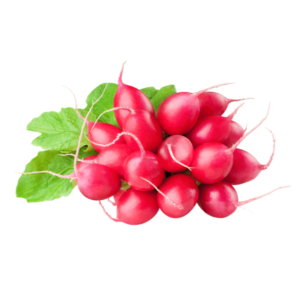 RABANETE ORG 300G