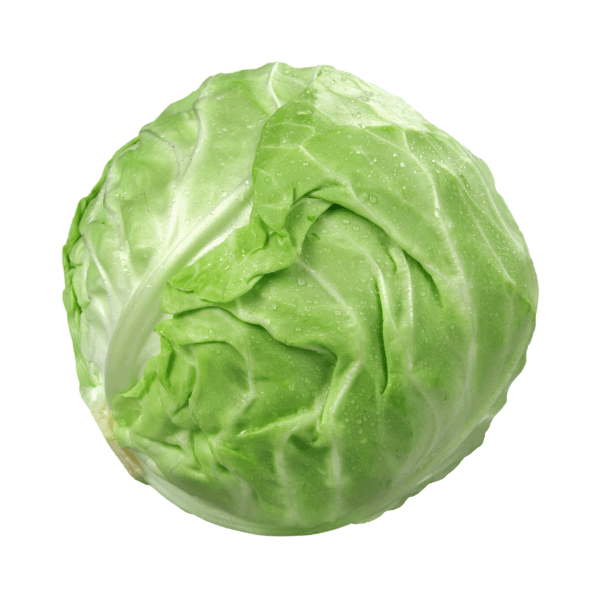 Repolho Verde Orgânico do Chico Unidade