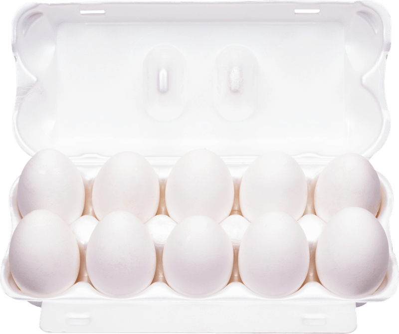 Ovos-Brancos-de-Galinha-Bandeja-com-12-Unidades