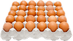 Ovo-de-Galinha-Asa-Vermelho-Pente-30-Unidades