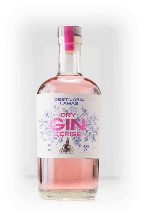 GIN DESTILARIA LAM 750ML