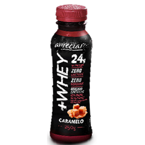 Iogurte Proteinado Apreciare + Whey 24g Caramelo Zero 250g