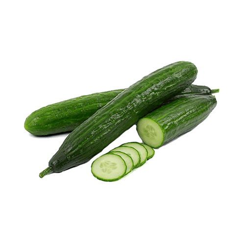 Legumes Pepino Japones Org. Rio De Una 450g