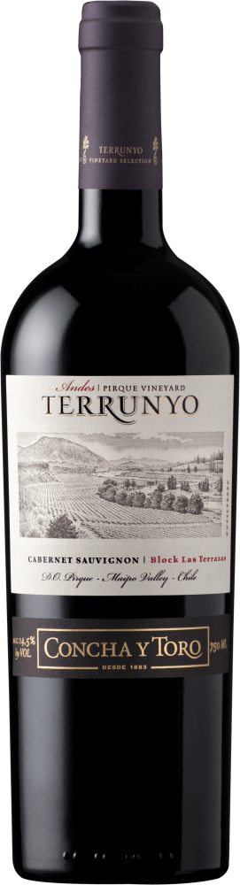 Vinho Chileno Tinto Seco Terrunyo Cabernet Sauvignon Valle del Maipo Garrafa 750ml