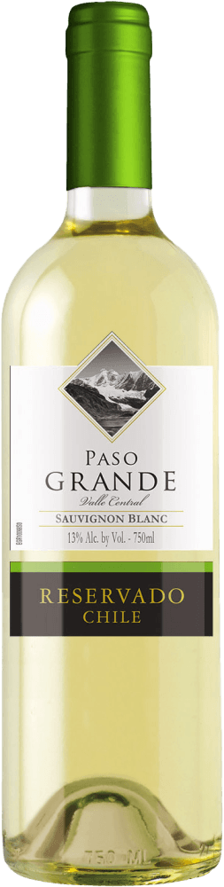 Vinho Chileno Paso Grande Reservado Sauvignon Blanc 750ml