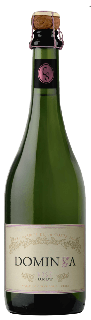 Espumante Chileno Doña Dominga Brut Rosé Garrafa 750ml