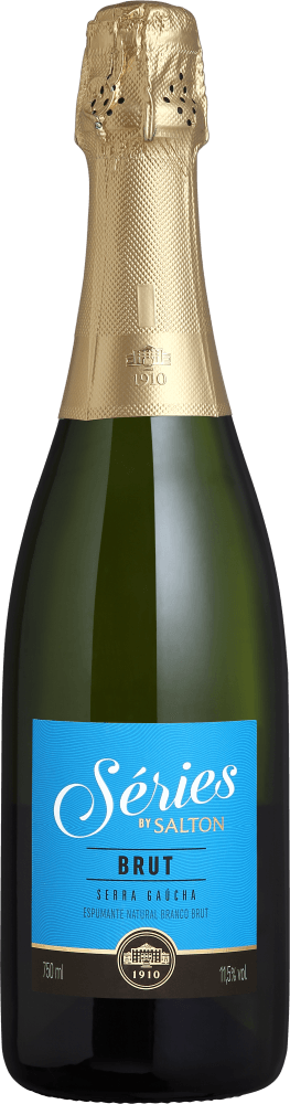 Espumante Nacional Salton Séries Brut 750ml